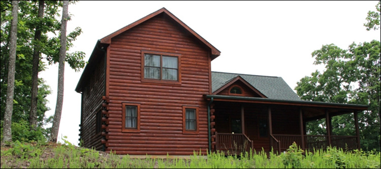 Professional Log Home Borate Application  Richmond County, Virginia